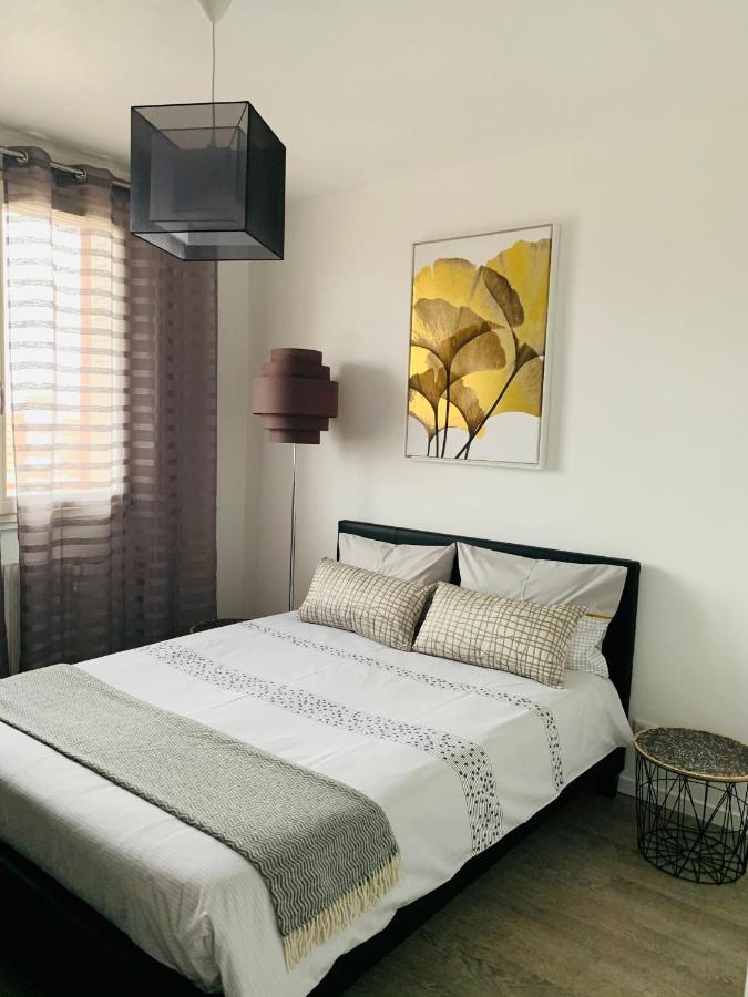 St Louis Appartement Роанн Екстер'єр фото
